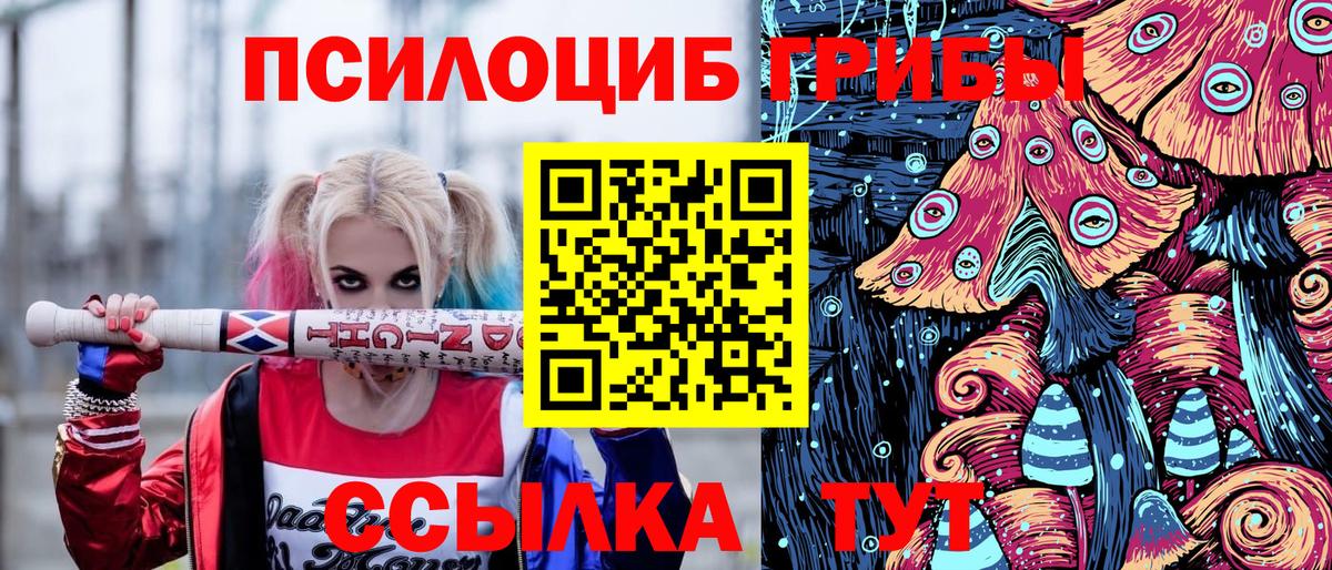 купить наркотики сайты  Вход с VPN  Железногорск  Псилоцибиновые грибы Magic Shrooms 